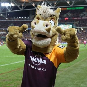 Brisbane Broncos Mascot